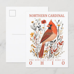 Cartão Postal Norte Cardinal Bird de Ohio EUA