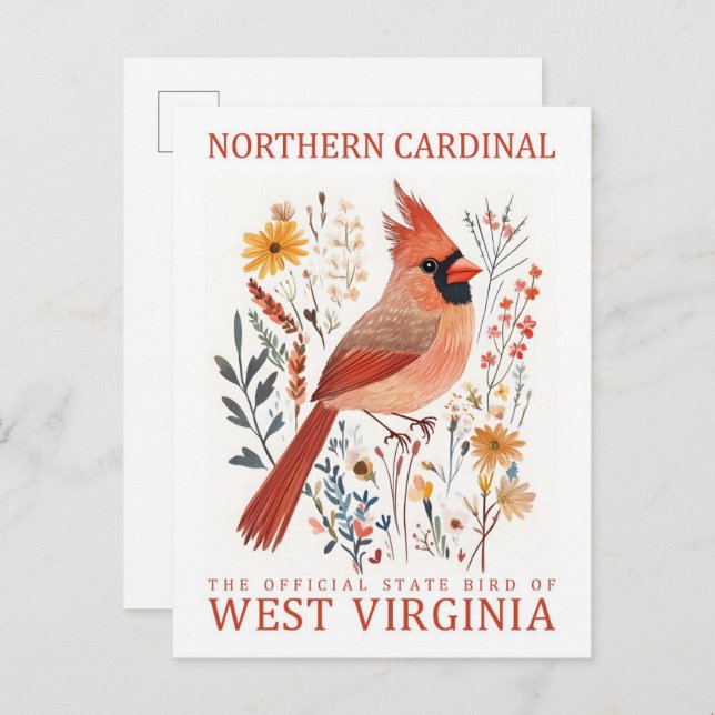 Cartão Postal Norte Cardinal do  de West Virginia Viagem (Frente/Verso)