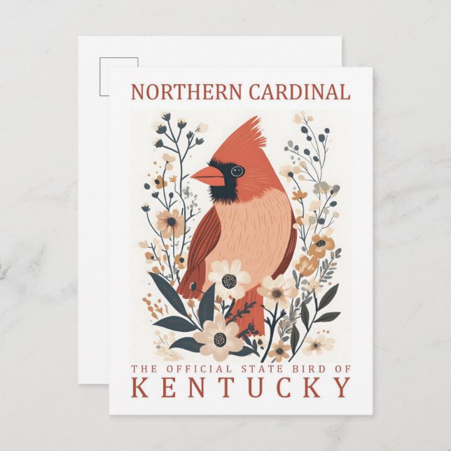 Cartão Postal Norte do Cardinal Viagem do Kentucky USA (Frente/Verso)