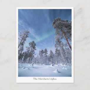 Cartão Postal Norte Lights Noruega