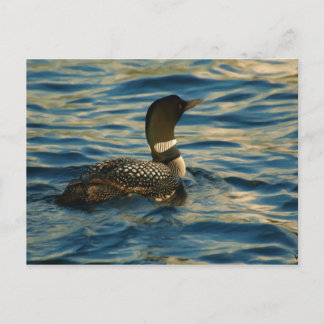 Cartão Postal Norte Loon