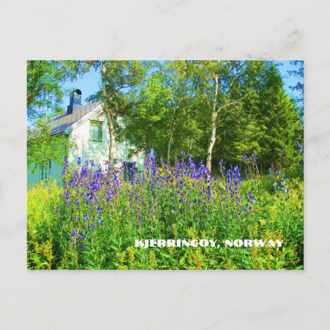 Cartão postal Norte Noruega (Frente)