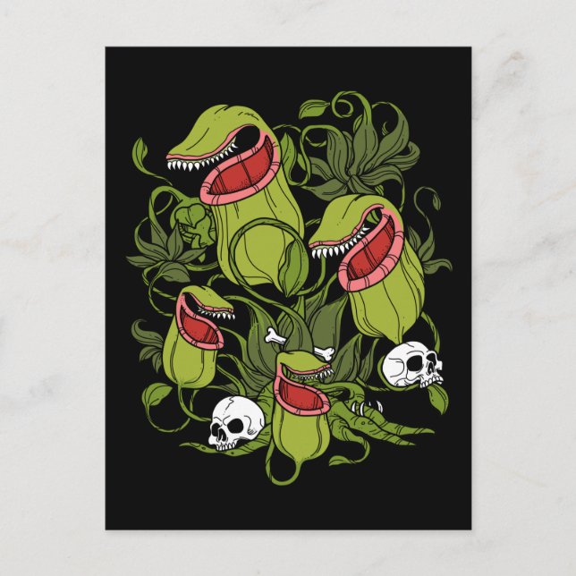 Cartão Postal Norte Pitcher Sarracenia Plantas Carnívoras (Frente)