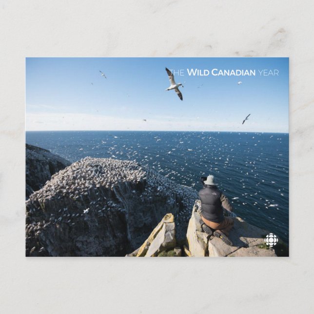 Cartão Postal Nortes (Frente)