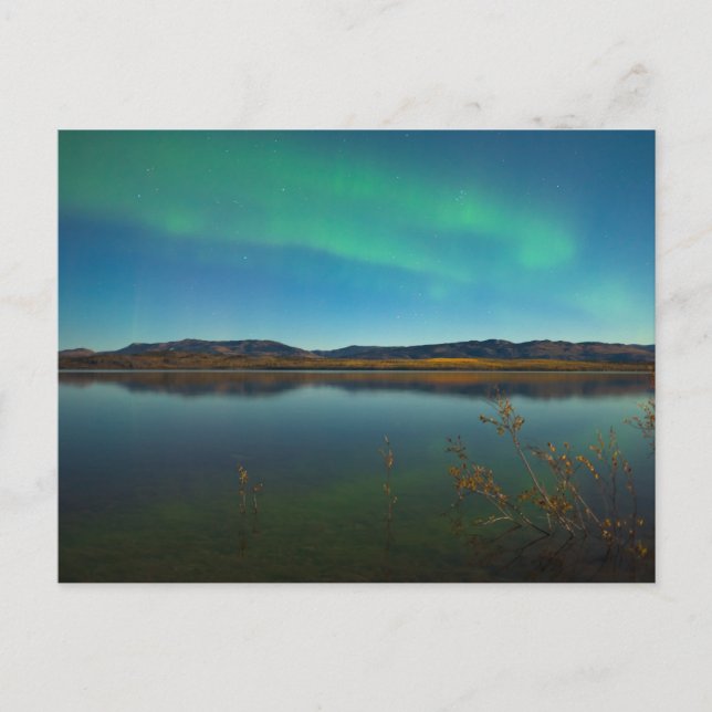 Cartão Postal Nortes (Aurora borealis) (Frente)