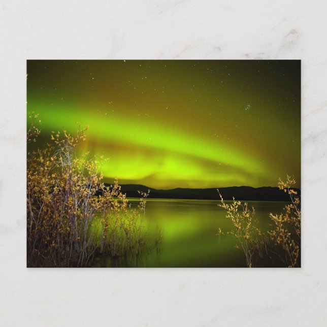 Cartão Postal Nortes (Aurora borealis) (Frente)