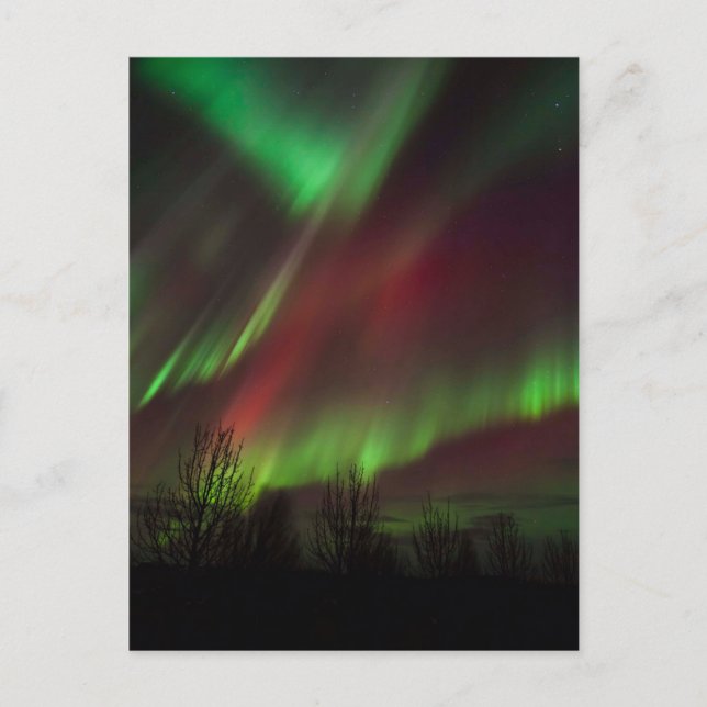 Cartão Postal Northern Lights | Scandinavia, Iceland (Frente)