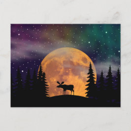 Cartão Postal Northern Nights- Northern Lights