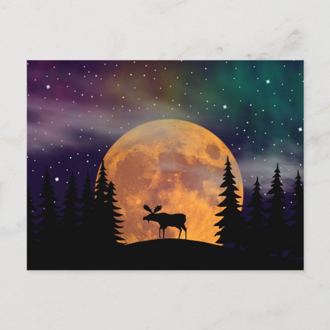 Cartão Postal Northern Nights- Northern Lights (Frente)