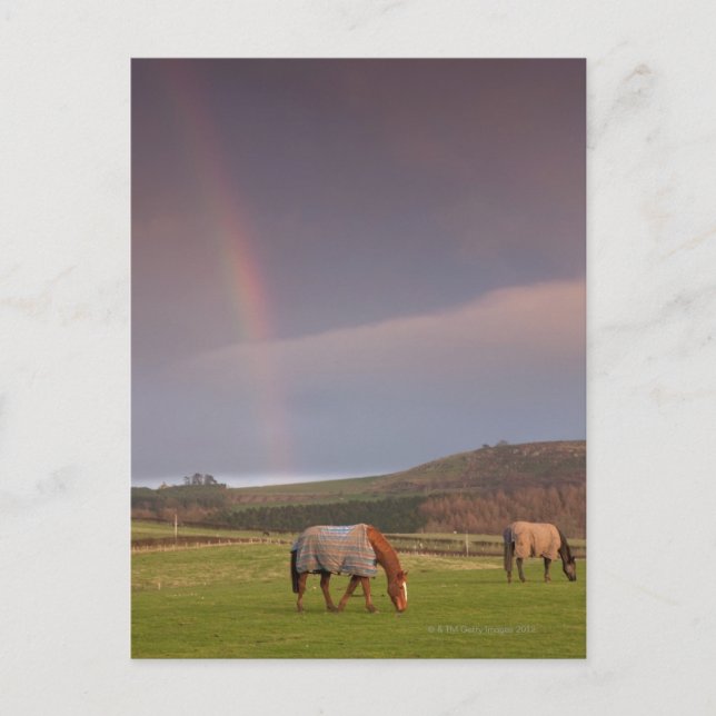 Cartão Postal Northumberland, Inglaterra (Frente)