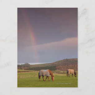 Cartão Postal Northumberland, Inglaterra