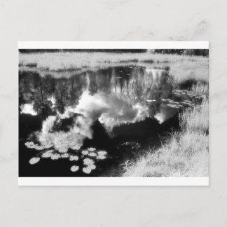 Cartão Postal Northwoods Lake com bela paisagem refletida