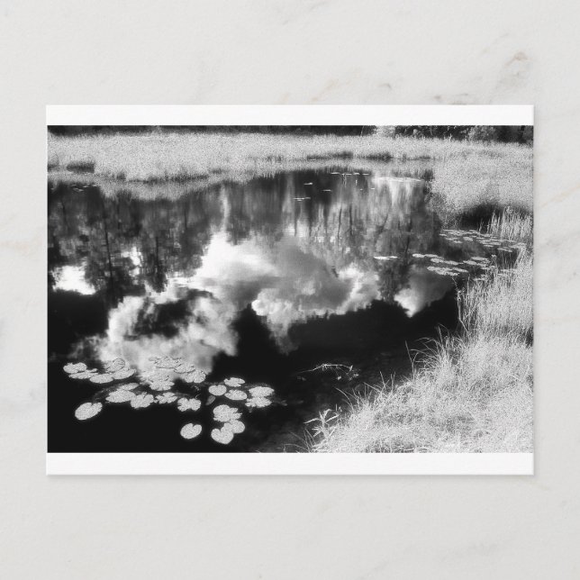 Cartão Postal Northwoods Lake com bela paisagem refletida (Frente)