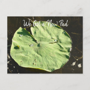 Cartão Postal Nós nos mudamos   Nova Casa   Novo Endereço