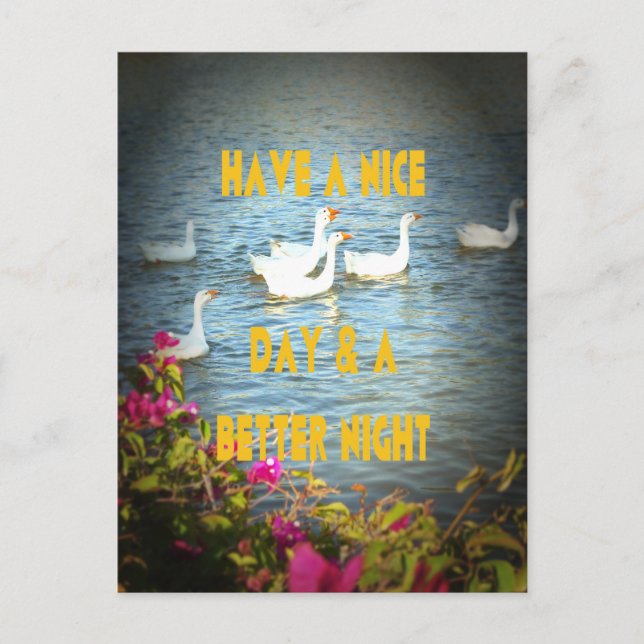 Cartão Postal Nós sempre deixamos nossos clientes felizes e sati (Frente)