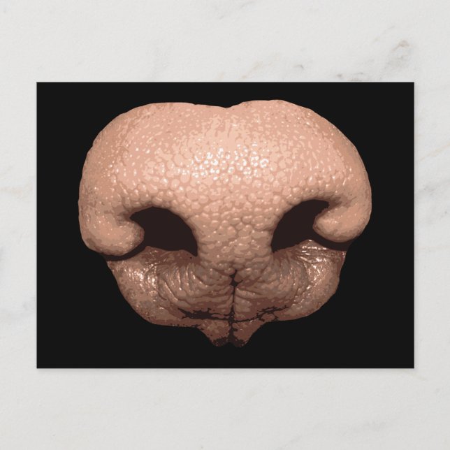 Cartão Postal Nose Canina Gigante (Frente)