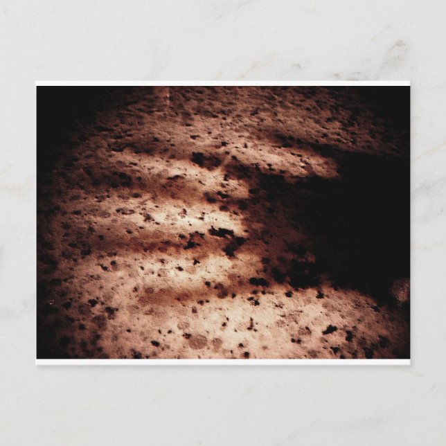 Cartão Postal Nosferatu (Frente)