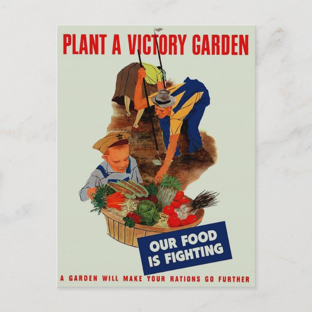 Cartão Postal Nossa Comida está lutando (Frente)