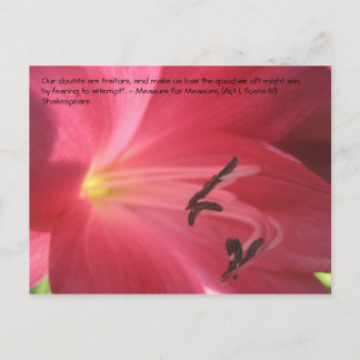 Cartão Postal Nossas dúvidas são traidoras, e nos fazem ...