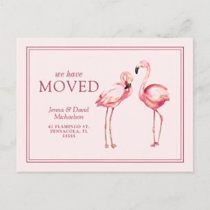 Cartão Postal Nosso Novo Endereço   Flamingos Rosa Bonito