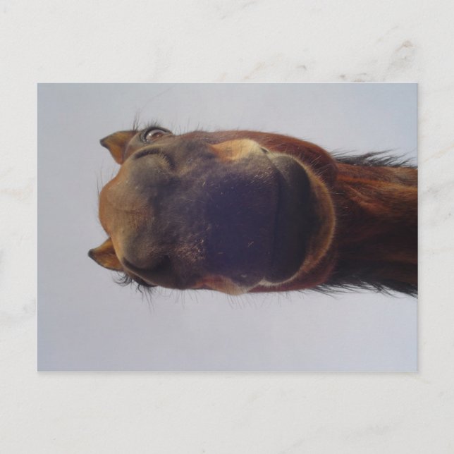 Cartão Postal Nosy (Frente)