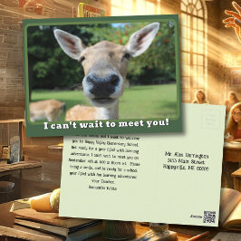 Cartão Postal Nosy Deer não pode esperar para te encontrar na no