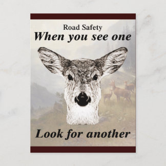 Cartão Postal Not One Deer