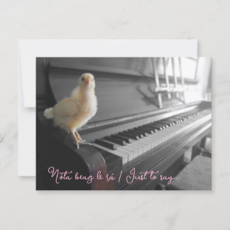 Cartão postal Nóta beag le rá