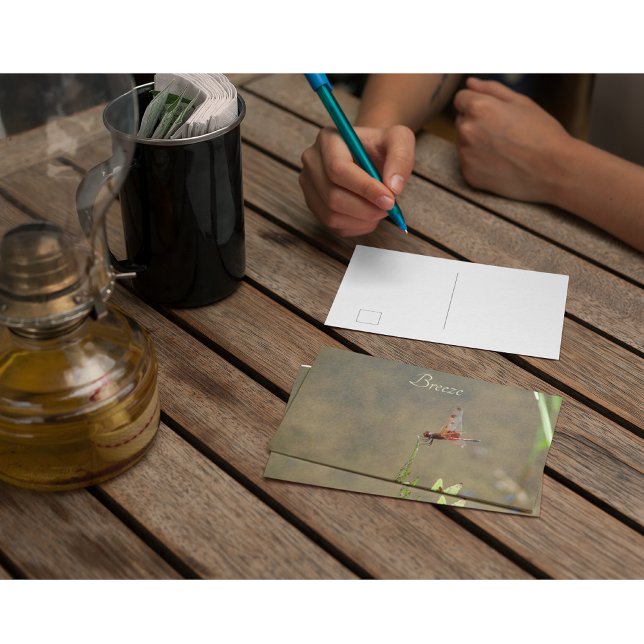 Cartão Postal Nota Botânica Personalizada Vintage Red Dragonfly (Criador carregado)