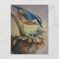 Nothatch Bird e Sunflower Seeds Watercolor Art