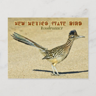 Cartão Postal Nova Ave do Estado do México: Roadrunner