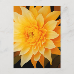 Cartão Postal Nova Dahlia Amarela BOHO