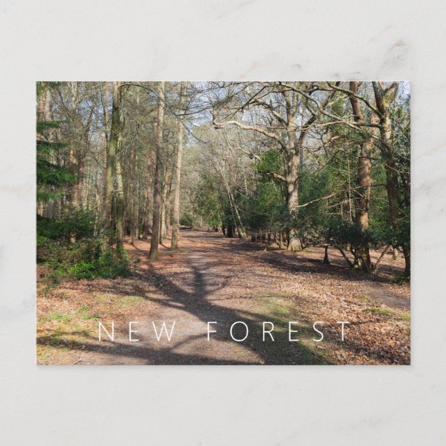 Cartão Postal Nova Floresta (Frente)