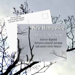 Cartão Postal Nova Hampshire Stick Season Nova Inglaterra Foto
