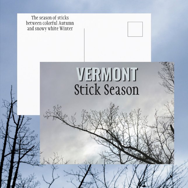 Cartão Postal Nova Inglaterra Stick Season Vermont Fotográfico (Criador carregado)