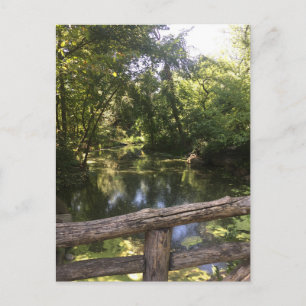 Cartão Postal Nova Iorque NYC Central Park Trees Water Photo