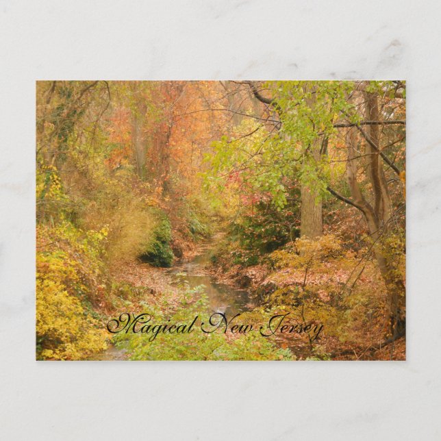 Cartão Postal Nova Jersey no outono (Frente)