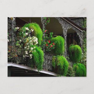 Cartão postal Nova Orleans - Quarto Francês dos EU