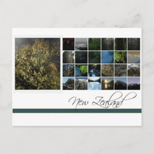 Cartão Postal Nova Zelândia