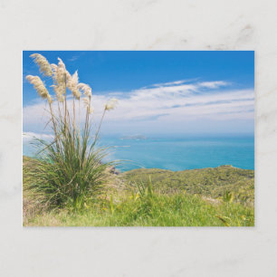 Cartão Postal Nova Zelândia, Ilha do Norte, Cabo Reinga