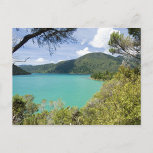 Cartão Postal Nova Zelândia, Ilha do Sul, Marlborough Sounds.