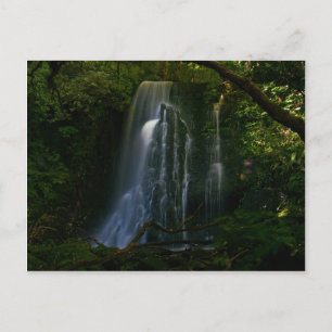 Cartão Postal Nova Zelândia: Matai Falls