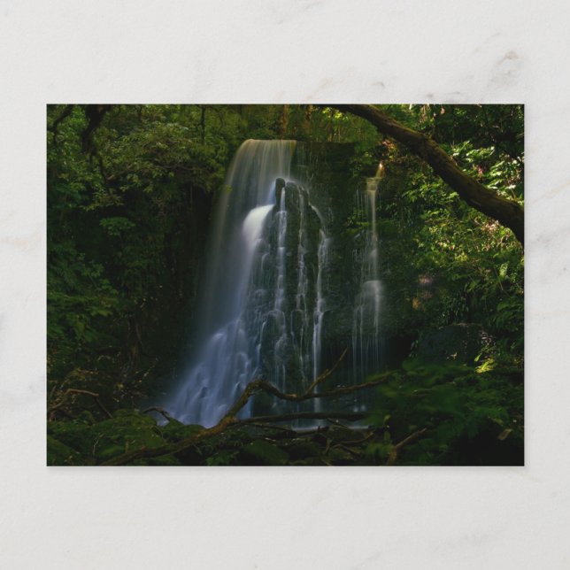 Cartão Postal Nova Zelândia: Matai Falls (Frente)