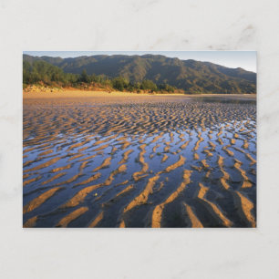Cartão Postal Nova Zelândia, Parque Nacional Abel Tasman, Costa