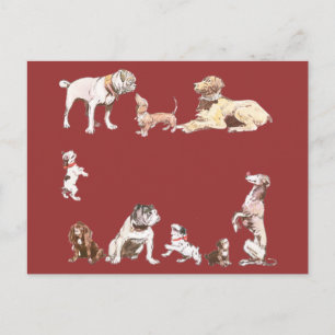 Cartão Postal Nove Cães