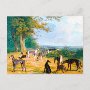 Cartão Postal Nove Greyhounds em uma paisagem por Jacques-Lauren