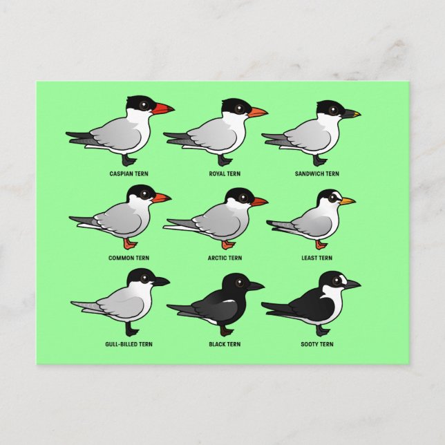 Cartão Postal Nove Terns Birdorable (rotulados) (Frente)