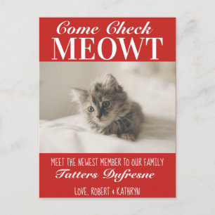 Cartão Postal Novo anúncio de Cat "Check Meowt"