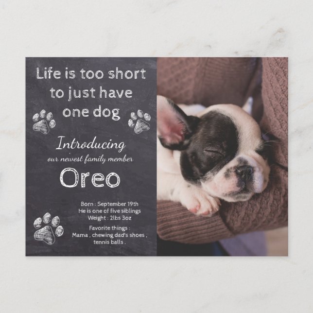 Cartão Postal Novo Anúncio de Puppy- Dog Foto Chalkboard Puppy (Frente)