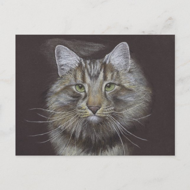 Cartão Postal Novo Cartão-postal de lançamento Pet (Frente)